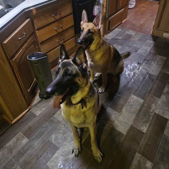 Meet your Posher, Thanh - Picture 8 of 10